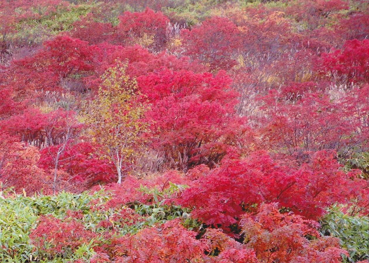 Shiga Kogen Hotel Shiga Sunvalley Yamanouchi  Buitenkant foto