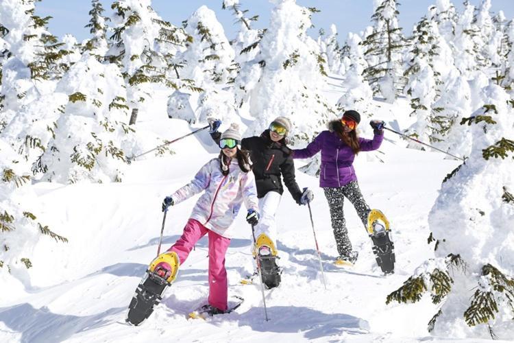 Shiga Kogen Hotel Shiga Sunvalley Yamanouchi  Buitenkant foto